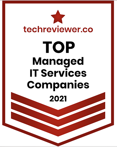 TechReview Votes Kaweb in Top IT Service Providers List in 2021
